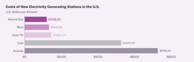 Costs of New Electricity Generating Stations in the U.S.